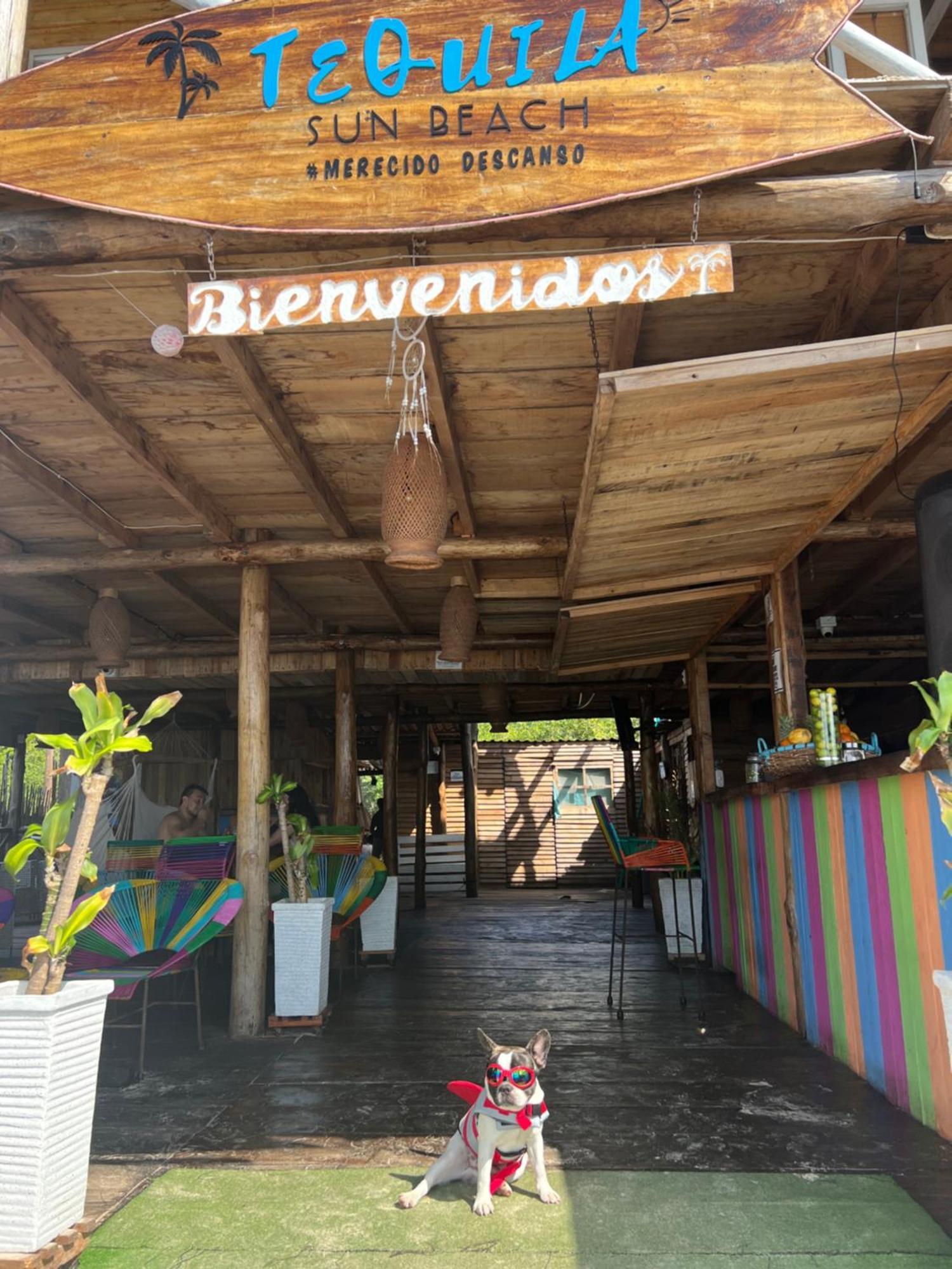 Tequila Sunbeach Baru Eco-Hotel Pendales Eksteriør bilde